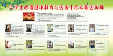 大學生心理健康教育與咨詢中心專職咨詢師的教育咨詢服務